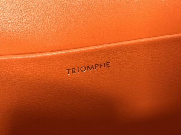 CELINE Triomphe Shoulder bag in orange