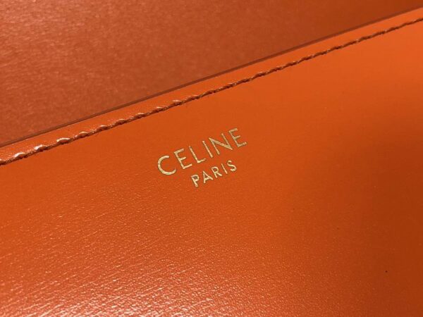 CELINE Triomphe Shoulder bag in orange